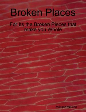 bigCover of the book Broken Places by 
