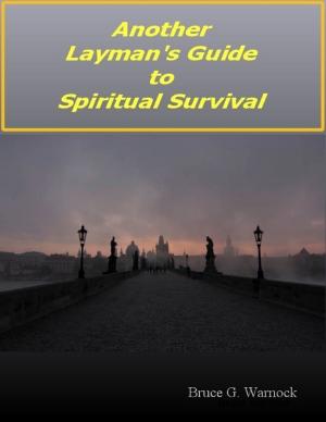 Cover of the book Another Layman's Guide to Spiritual Survival by Daniel Blue