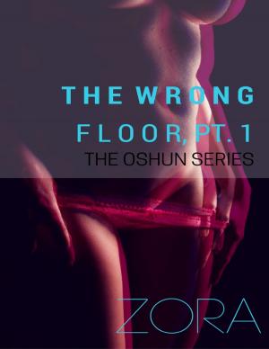 Cover of the book The Wrong Floor, Pt. 1 - The Oshun Series by Anthony Ekanem