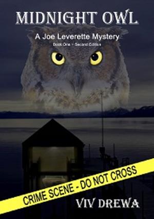 Cover of the book Midnight Owl by T.J. Patterson