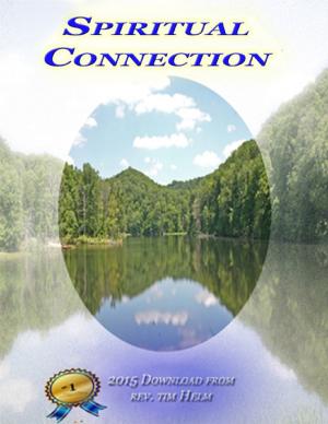 Cover of the book Spiritual Connection by Sue Lassiter