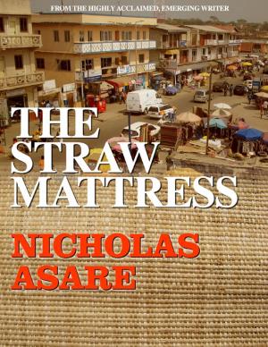 Cover of the book The Straw Mattress by Doreen Milstead