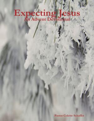Cover of the book Expecting Jesus: An Advent Devotional by Arthur J Barner