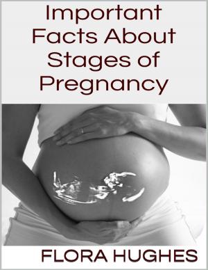 Cover of the book Important Facts About Stages of Pregnancy by Dr S.P. Bhagat