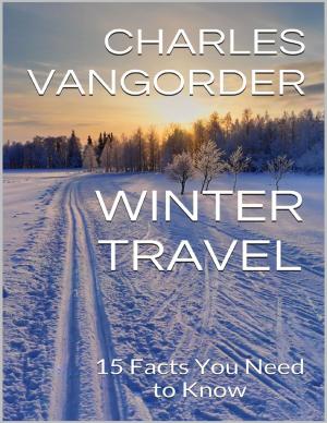 Cover of the book Winter Travel: 15 Facts You Need to Know by Evelyn Jean