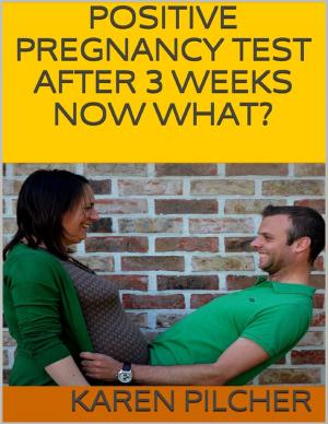 Cover of the book Positive Pregnancy Test After 3 Weeks Now What? by Andrew McKay