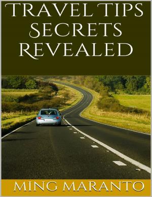 Cover of the book Travel Tips Secrets Revealed by Susan Hart