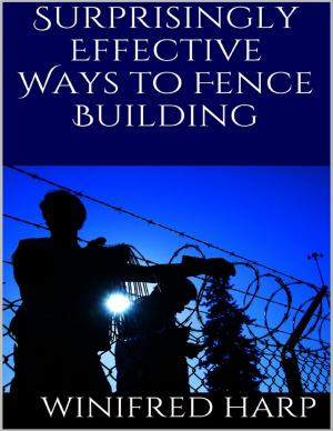 Cover of the book Surprisingly Effective Ways to Fence Building by M. Secrist