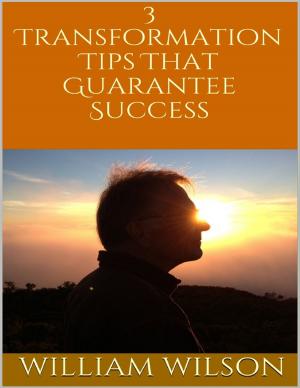 Cover of the book 3 Transformation Tips That Guarantee Success by Adebayo Ojo Oshorun