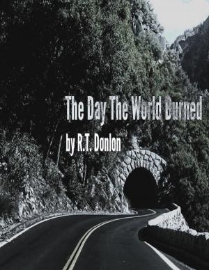Book cover of The Day the World Burned