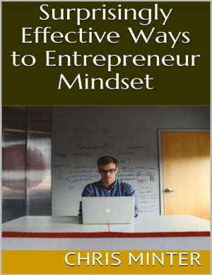 Cover of the book Surprisingly Effective Ways to Entrepreneur Mindset by Pavel Kozák