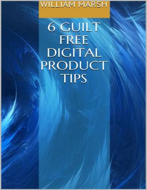 Cover of the book 6 Guilt Free Digital Product Tips by Ellen Foster