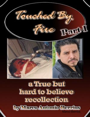 Cover of the book Touched By Fire, Part I by Doreen Milstead