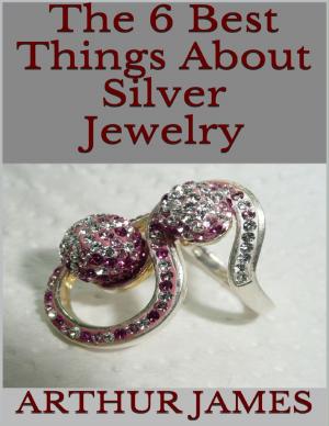 Cover of the book The 6 Best Things About Silver Jewelry by Joy Renkins