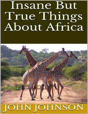 Book cover of Insane But True Things About Africa