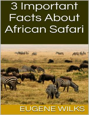Cover of the book 3 Important Facts About African Safari by Anthony (T.J.) Watkins