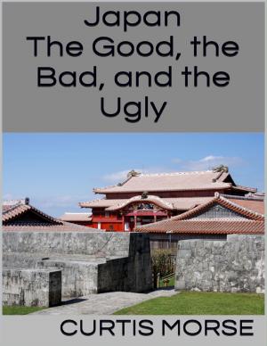 Cover of the book Japan: The Good, the Bad, and the Ugly by Tim Lee