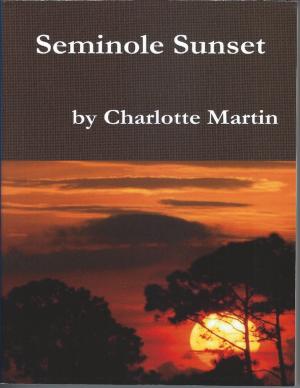 Cover of the book Seminole Sunset by John O'Loughlin