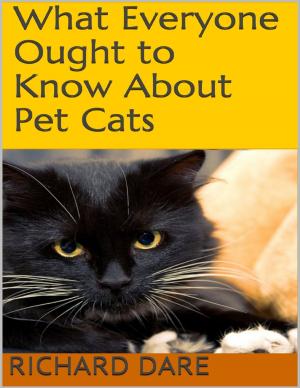 Cover of the book What Everyone Ought to Know About Pet Cats by Jack McGhee