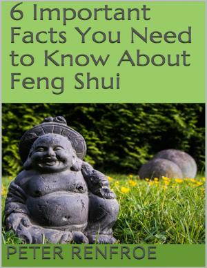 Cover of the book 6 Important Facts You Need to Know About Feng Shui by A.S. Oren