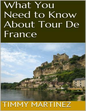 Cover of the book What You Need to Know About Tour De France by James Spinosa