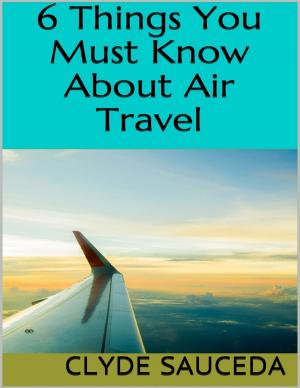 Cover of the book 6 Things You Must Know About Air Travel by Travis Ford