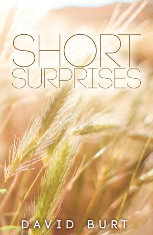 Cover of the book Short Surprises by Andy Poulsom