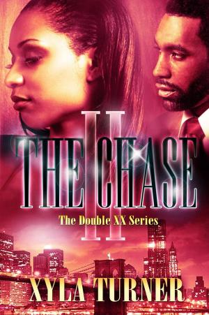 bigCover of the book The Chase II by 