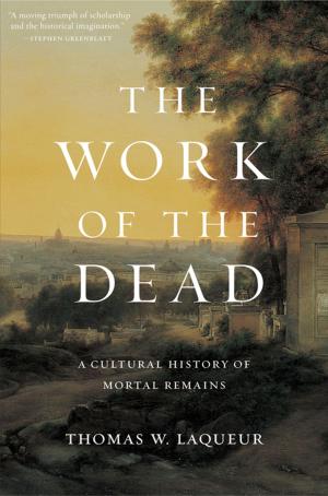 Cover of the book The Work of the Dead by Dana Villa