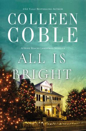 Cover of the book All Is Bright by Pamela Wright