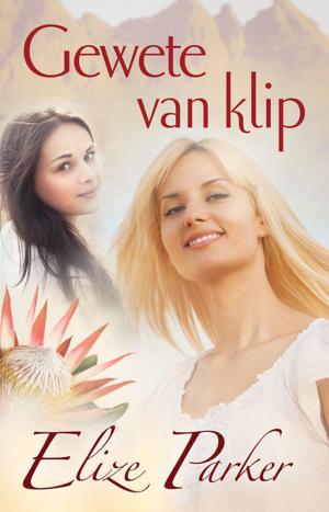 Cover of the book Gewete van klip (eBoek) by Nick Vujicic
