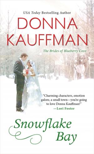 Cover of the book Snowflake Bay by Rebecca Zanetti