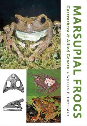 Cover of the book Marsupial Frogs by Joseph F. Spillane