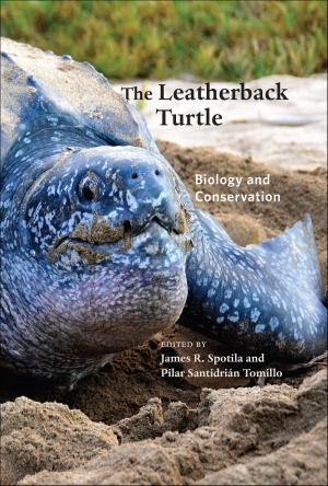 Cover of the book The Leatherback Turtle by Julie M. Hauer, MD