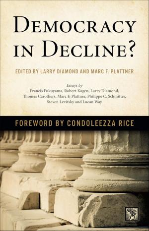 Cover of the book Democracy in Decline? by 