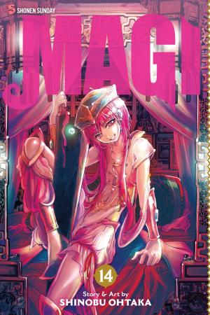 bigCover of the book Magi: The Labyrinth of Magic, Vol. 14 by 