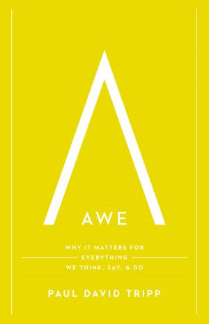 Cover of the book Awe by Andreas J. Kostenberger, David W. Jones