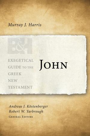 Cover of the book John by Alex Kendrick, Steve Dapper