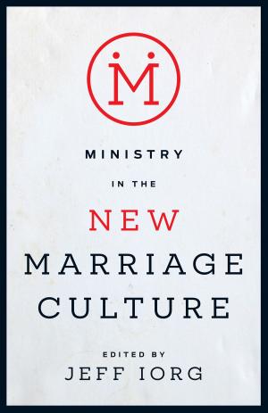 Cover of the book Ministry in the New Marriage Culture by Richard Melick