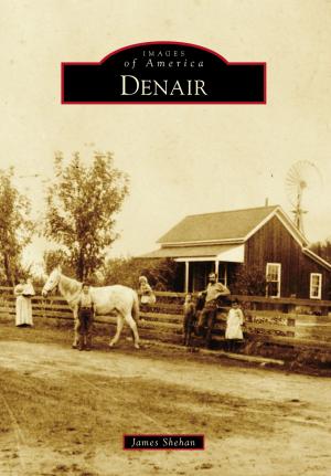 Cover of the book Denair by Lisa Peek Ramos