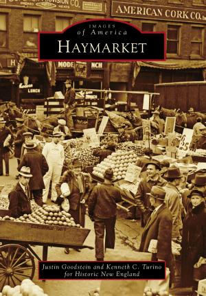 Cover of the book Haymarket by Jeff McNeish, Clark’s Fork Valley Museum