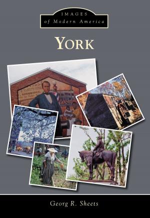 Cover of the book York by Debra Leigh Dotson, Jane Satchell McAllister
