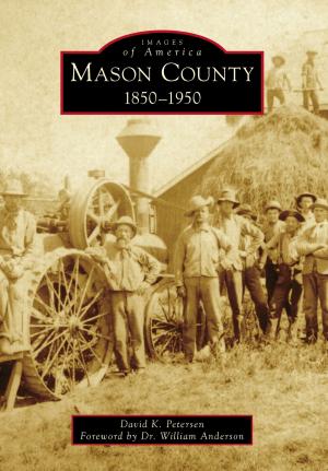Cover of the book Mason County by Matthew Hansen, James McKee, Edward Zimmer