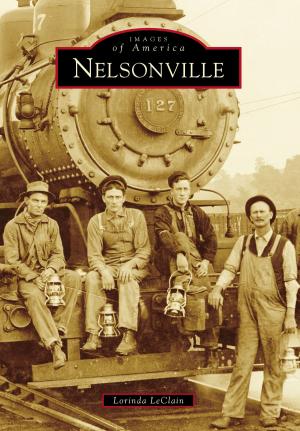 Cover of the book Nelsonville by Janean Mollet-Van Beckum, Washington County Historical Society