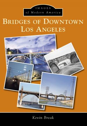 Cover of the book Bridges of Downtown Los Angeles by Stephen Hayward Silberkraus