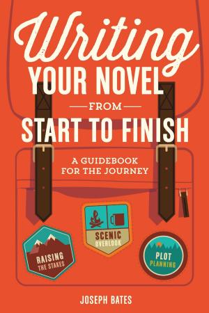 Cover of the book Writing Your Novel from Start to Finish by David & Charles Editors