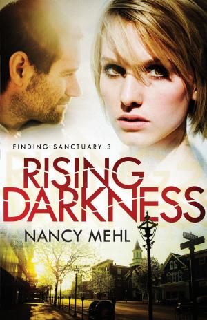 Cover of the book Rising Darkness (Finding Sanctuary Book #3) by Norman L. Geisler, Bill Roach