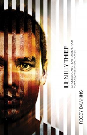 Cover of the book Identity Thief by Bob Goudzwaard, Mark Vander Vennen, David Van Heemst