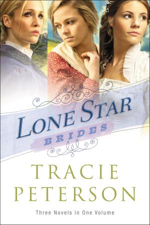Cover of the book Lone Star Brides by Judith Miller