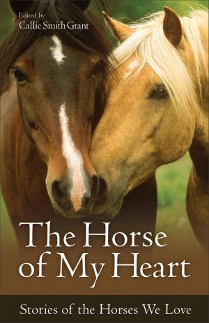 Cover of the book The Horse of My Heart by Kris Vallotton